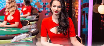 Fitur bonus dan free spins yang tersedia di permainan top trend